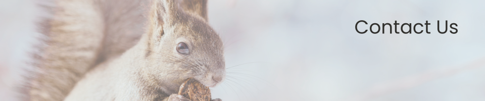 Contact Us